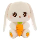 REENEWうさぎのぬいぐるみ 大きいサイズ・小さいサイズ ぬいぐるみ ぬいぐるみギフト クリスマス プレゼント お誕生日プレゼント クッション 枕 ソフト かわいい 子供用 ストレス解消 お部屋の装飾 お昼寝枕 かわいい フォトプロップス (30cm) [並行輸入品]
