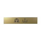 丸三タカギ 彫り込み済表札 アクリル APB2-G-1-1-森山 【完成品】