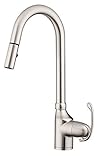 Danze D457121SS Anu Trim Line Single Handle Pull-Down Kitchen Faucet, Stainless Steel, Stainless Ste
