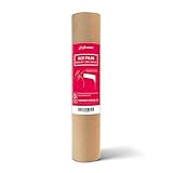 Phrozen ACF フィルム マイティ 3枚 (220 x 310 mm)