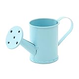 不二貿易 ブリキ小物入れ ジョウロ型 ライトブルー 13441