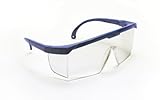 SAS Safety 5267 Hornets Eyewear with Polybag, Clear Lens/Blue Frame by SAS Safety