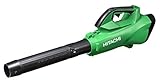 日立工機 36V コードレスブロワー 充電式 蓄電池・充電器別売り RB36DL(NN) 本体のみ