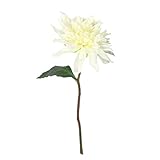 ダリアショート FXFM0014WHT