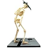 Amazon Co Jp ゴルゴ13 骸骨ロゴ Tシャツ ブラック Sサイズ 服 ファッション小物