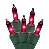 Vickerman 50 Light Purple Light Set on Green Wire by Vickerman