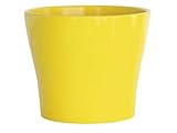 シューリッヒ　鉢カバー　808 WILD YELLOW 4.5号鉢用　明るい黄色