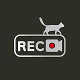 MAGICAL STORE 【全19色】猫 REC ドライブレコーダー カッティングステッカー｜カーステッカー｜車用・耐水耐候タイプ (シルバー, Sサイズ：縦7.7cm×横10cm)