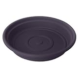 Bloem 4インチデュラコタソーサーエキゾチカSDC456、24パック