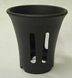 長生蘭　セッコク　プラ鉢　２．５号 １００枚セット