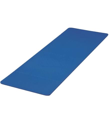 Amazon | エバニュー(evernew)ストレッチマット180 5Eガッコウキキ