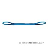 NBスリング ベルト幅:25mm NB3E25-25 長さ:2.5m