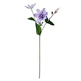 ナチュラルクレマチススプレー FXFS0017LAV