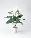 LION 人工植物　GS-124 品番57656