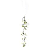 Bulary 造花 壁掛け つるアズキ インテリア シルク造花 1本セット 観葉植物 雑貨 家庭飾り 清新系 本物にそっくり ロマンチック 結婚式 パーティー お祝い 誕生日のプレゼント ギフト 贈り