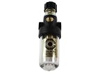Coilhose Pneumatics ML2 Miniature Series Lubricator, 1/4-Inch Pipe Size by Coilhose Pneumatics