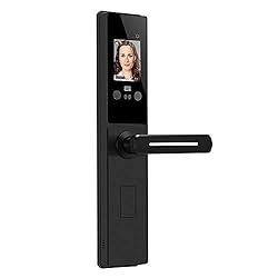 スマートロック - 顔認証ロック掌紋認証パスワードロックホームセキュリティドアロック屋内ロック、ブラック,LEFT,PULL