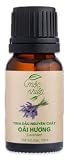 mocnhien ラベンダー エッセンシャルオイル アロマオイル 天然100％ 精油 10ml 加湿器用 ディフューザー用 アロマストーン用 お部屋用 アロマポット用