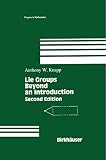 Lie Groups: Beyond an Introduction (Progress in Mathematics, 140)