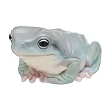 【灰色】 ネイチャーテクニカラー 大きなイエアメガエル
