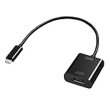 サンワサプライ USB Type C-DisplayPort変換アダプタ（4K/120Hz/HDR対応） AD-ALCDP02