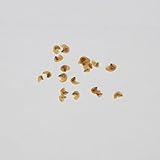 ディッキア　ベラスカナ　種子