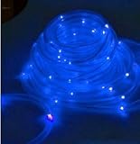 ソーラーLEDチューブ 夜間になると自動点灯する LED100個搭載で 長さ10mの ロングケーブル エクステリア 防犯 4カラーあり (ブルー)