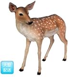 FRP　小鹿 / Fallow Deer - Fawn (Not in Benelux)　【動物園オ