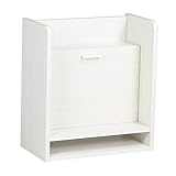 arne 壁掛デスク ライティングデスク 机 パソコンデスク 壁面収納 完成品 aster WallDesk 500 ホワイトウッド