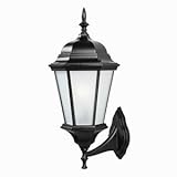 Acclaim 5250BK/FR Richmond Collection 1-Light Wall Mount Outdoor Light Fixture, Matte Black [並行輸入品]