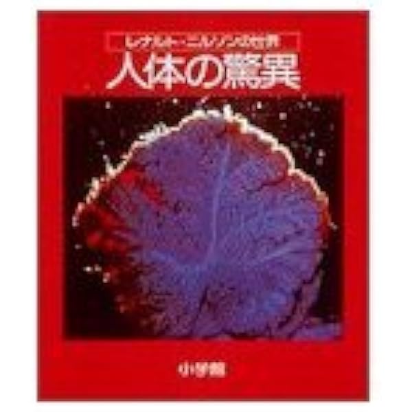 Amazon.co.jp: A Child is Born 赤ちゃんの誕生 : レナルト・ニルソン