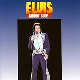 ���[�f�B�E�u���[