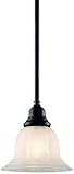 Dolan Designs 649-30 Richland Mini Pendant Royal Bronze [並行輸入品]