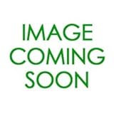 Lily Pad Sit Upons - Set of 4 by Children's Factory