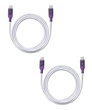 [re:colors]【USB-C(Type C) to USB-C(Type C) USB2.0 ケーブル スケルトン 2本セット (グレープ)】高速充電 PD対応100W/5A 高速データ転送 断線防止 1m 武蔵野レーベル