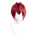 コスプレウィッグ ネット付き リドル ローズハート 耐熱 ウィッグ かつら wig ハロウィン仮装 文化祭 お祭り 学園祭 コスチューム (Riddle)