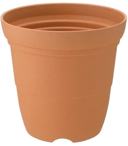 斑入りソテツ　４号素焼鉢 Amazon.co.jp: 斑入りソテツ 4号素焼鉢 : DIY・工具・ガーデン