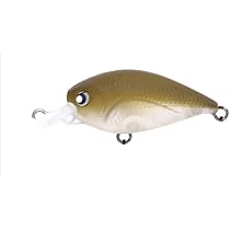 31lpIOTw5cL._AC_UL210_SR210,