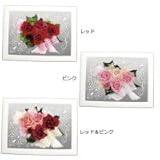 ホワイトパネル レッド F1750