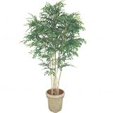 【人工植栽】　タカショー グリーンデコ鉢付 トネリコ 5本立　1.8m　GD-150