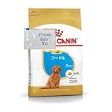 ロイヤルカナン プードル 子犬用 1.5kg 1個 子犬用フード & オリジナルスライダー式ジッパー保存袋 (1.5kg 1個)