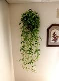 【トラデイスカス壁掛】【人工観葉植物】【インテリアグリーン】【触媒加工】【造花】【フェイクグリーン】【壁掛グリーン】