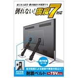 エレコム TV用耐震ベルト/～75V用/ネジどめタイプ(VESA穴)/2本入 TS-006N　エレコム [簡易パッケージ品]