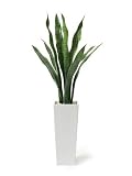 GREENPARK サンセベリア FRP H50 WH リバーロック 造花 フェイクグリーン