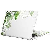 MacBook Air 13インチ 2022～2025 M2 / M3 / M4 用 スキンシール モデル A2681 / A3113 / A3240 igsticker マックブック エア Mac 13" inch 用シール フィルム ステッカー 010077 植物 ぶどう 緑