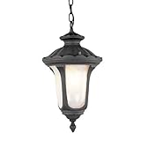Livex Lighting 7658-04 Oxford 3 Light Outdoor Chain Hang, Black [並行輸入品]