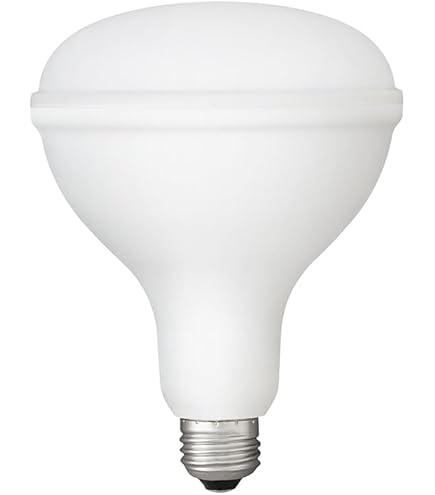 Amazon | アイリスオーヤマ ハイパワーLED照明 RZシリーズ E39口金