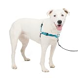 PetSafe デラックス イージーウォークハーネス 犬 ハーネス 中型犬 引っ張り防止 調整簡単 ネオプレン 抜けない 耐久性が高い 夜間反射 大型犬（M/L オーシャンブルー/ブラック）