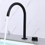 BiaoTeng 洗面台 蛇口 2穴ホール 洗面台 蛇口 2口 温冷真鍮 360° スイベル 洗面台 蛇口 混合水栓 2穴 蛇口 2つ穴 洗面水栓 2穴 浴室 蛇口 混合栓 水道 蛇口 2穴 浴室 蛇口 混合栓 浴室洗面器用 黒