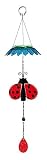 Evergreen Ladybug Color Changing Flower Top Solar Mobile [並行輸入品]